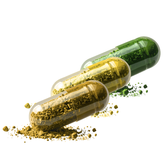 The ULTIMATE Starter Set